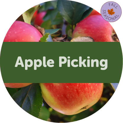 Apple Picking Wax Melts - 3.6oz Eco Tin