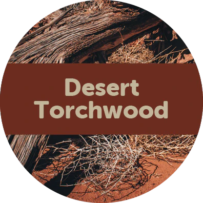 Desert Torchwood Wax Melts - 2oz Sample Pouch