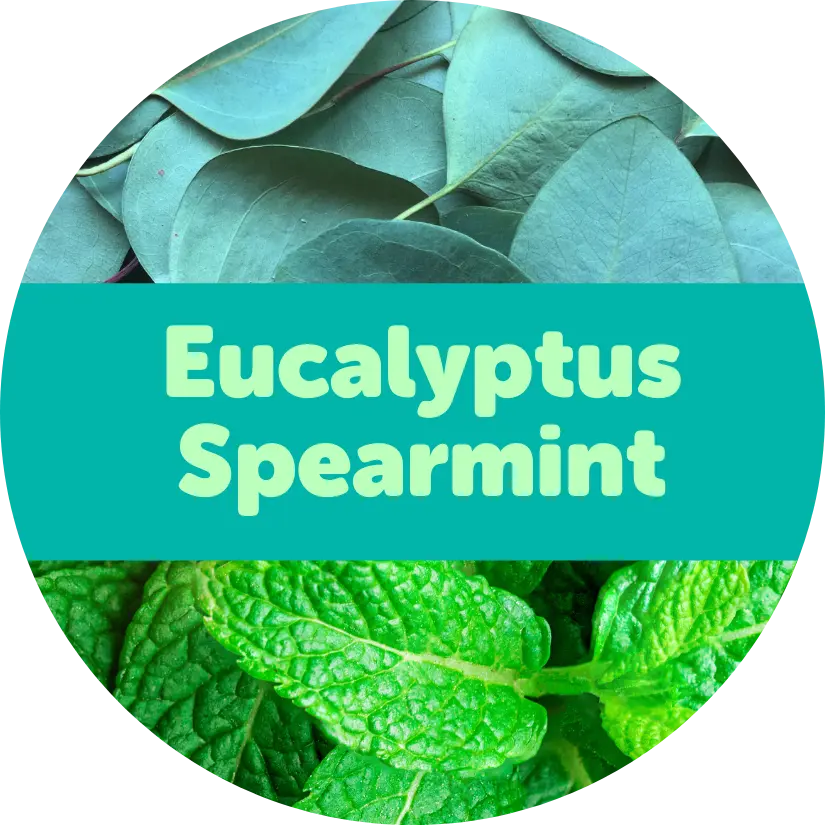 Eucalyptus Spearmint Wax Melts - 2oz Sample Pouch