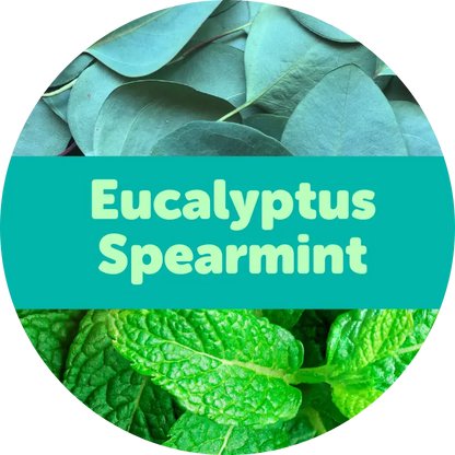 Eucalyptus Spearmint Wax Melts - 2oz Sample Pouch