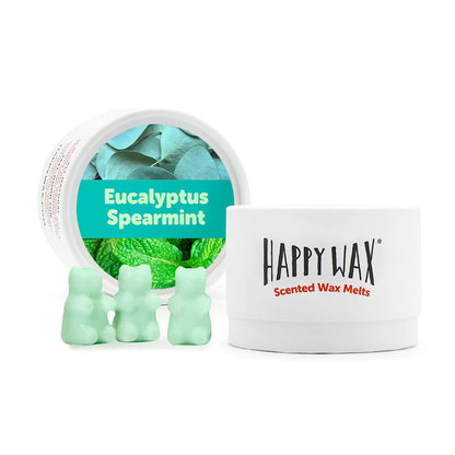 Eucalyptus Spearmint Wax Melts - 3.6oz Eco Tin