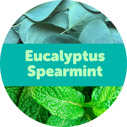 Eucalyptus Spearmint Wax Melts - 3.6oz Eco Tin