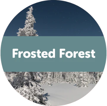 Frosted Forest Wax Melts - 3.6oz Eco Tin