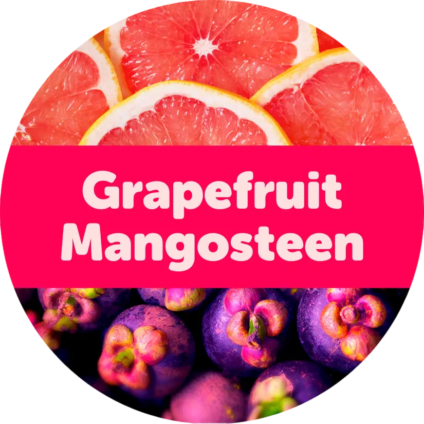 Grapefruit Mangosteen Wax Melts - 2oz Sample Pouch