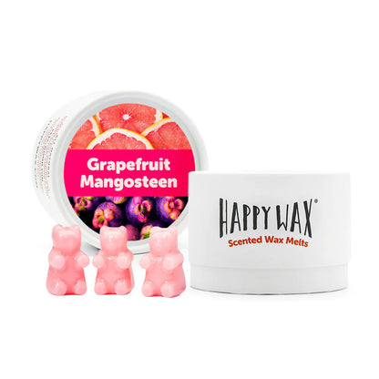 Grapefruit Mangosteen Wax Melts - 3.6oz Eco Tin