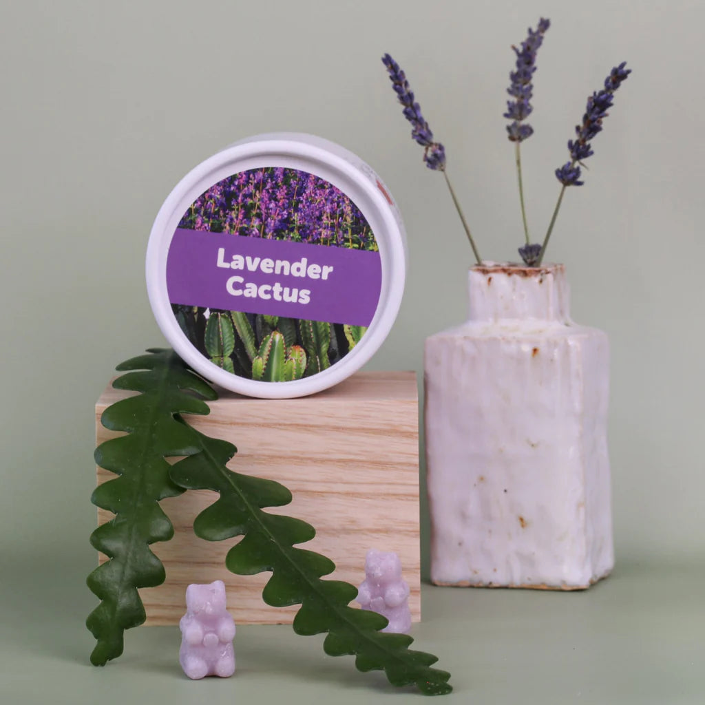 Lavender Cactus Wax Melts - 3.6oz Eco Tin