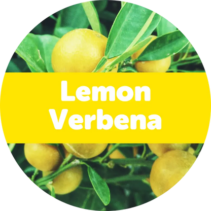 Lemon Verbena Wax Melts - 2oz Sample Pouch