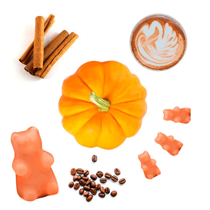 Pumpkin Spice Latte Wax Melts - 3.6oz Eco Tin