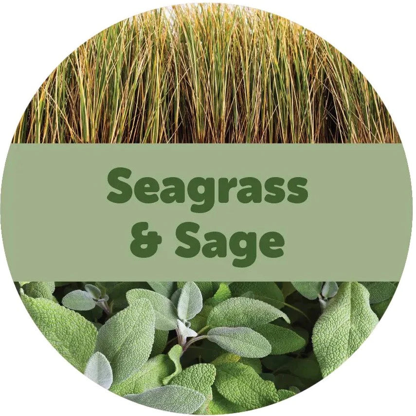 Seagrass & Sage Wax Melts - 3.6oz Eco Tin