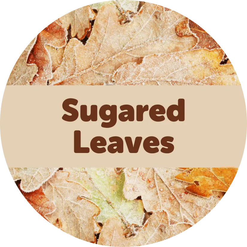 Sugared Leaves Wax Melts - 3.6oz Eco Tin