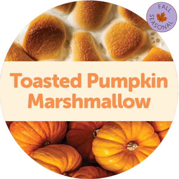 Toasted Pumpkin Marshmallow Wax Melts - 3.6oz Eco Tin