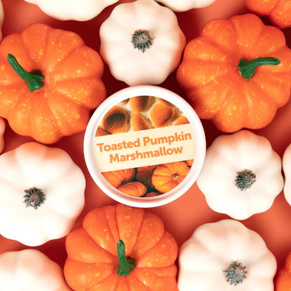 Toasted Pumpkin Marshmallow Wax Melts - 3.6oz Eco Tin