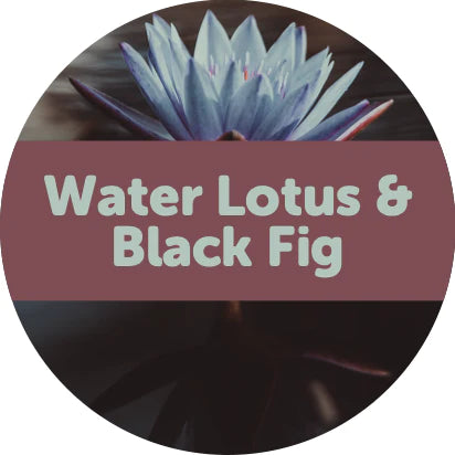 Water Lotus & Black Fig Wax Melts - 2oz Sample Pouch