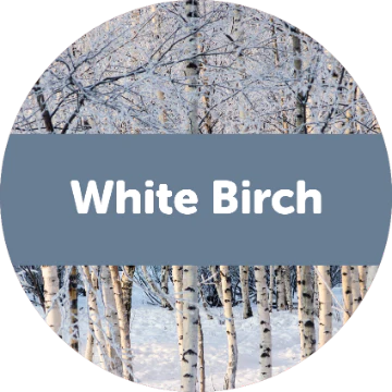 White Birch Wax Melts - 3.6oz Eco Tin