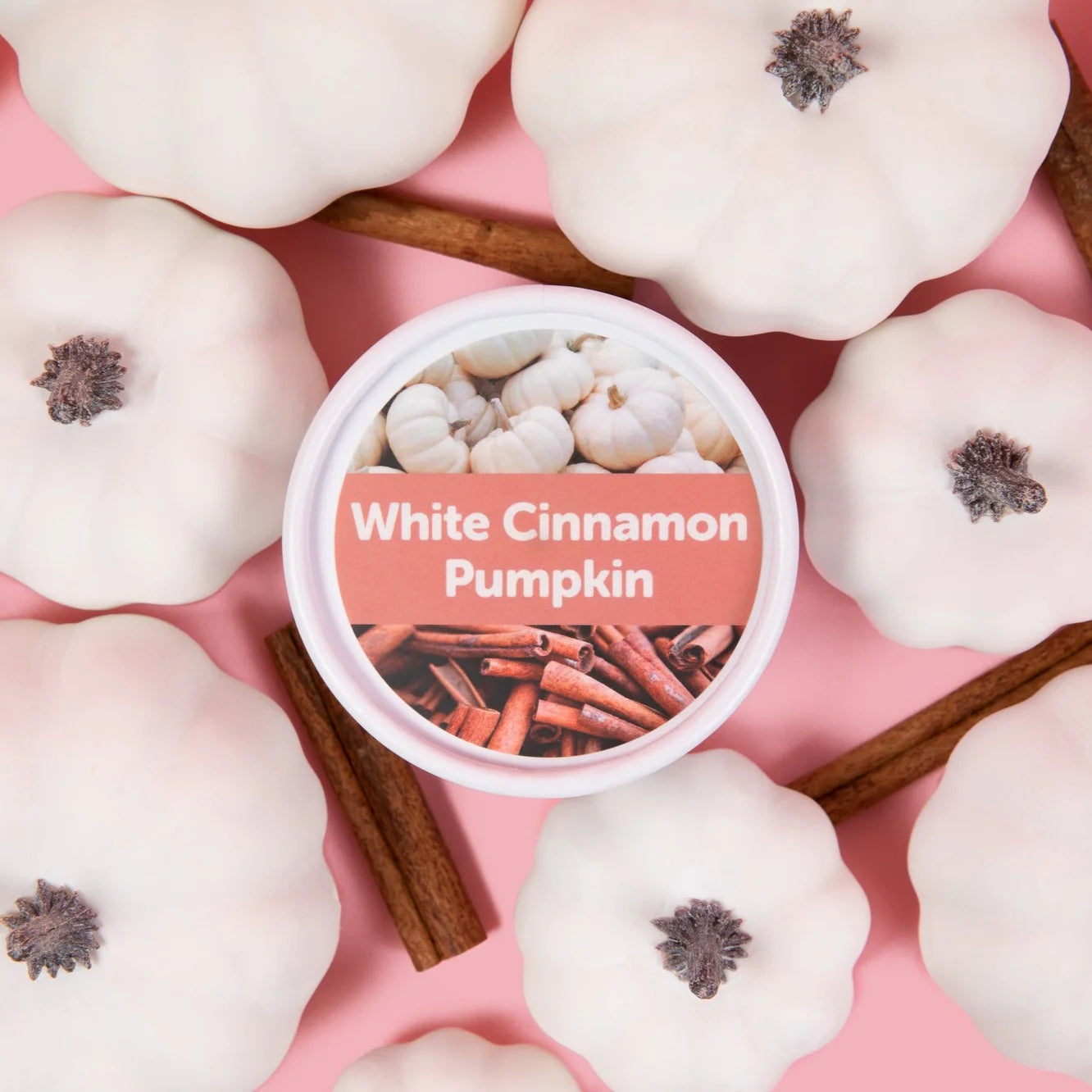 White Cinnamon Pumpkin Wax Melts - 3.6oz Eco Tin