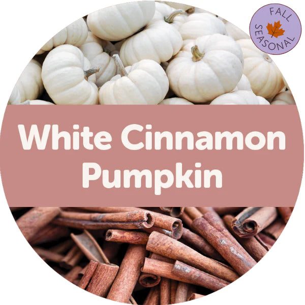 White Cinnamon Pumpkin Wax Melts - 3.6oz Eco Tin