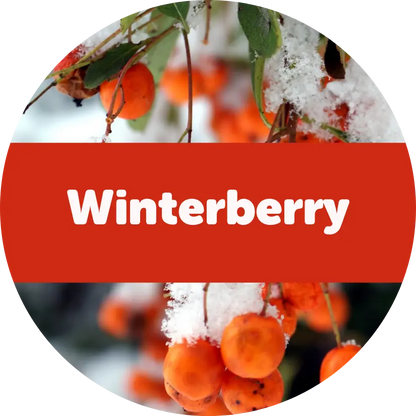 Winterberry Wax Melts - 3.6 Eco Tin