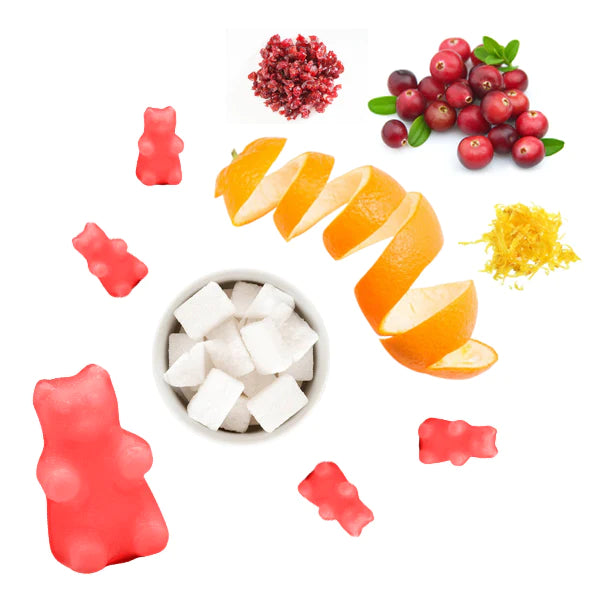 Winterberry Wax Melts - 3.6 Eco Tin